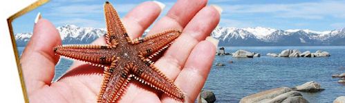 Lake Tahoe beaches